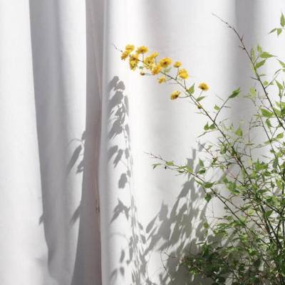 大发国际app下载