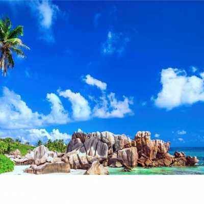 大发国际app下载